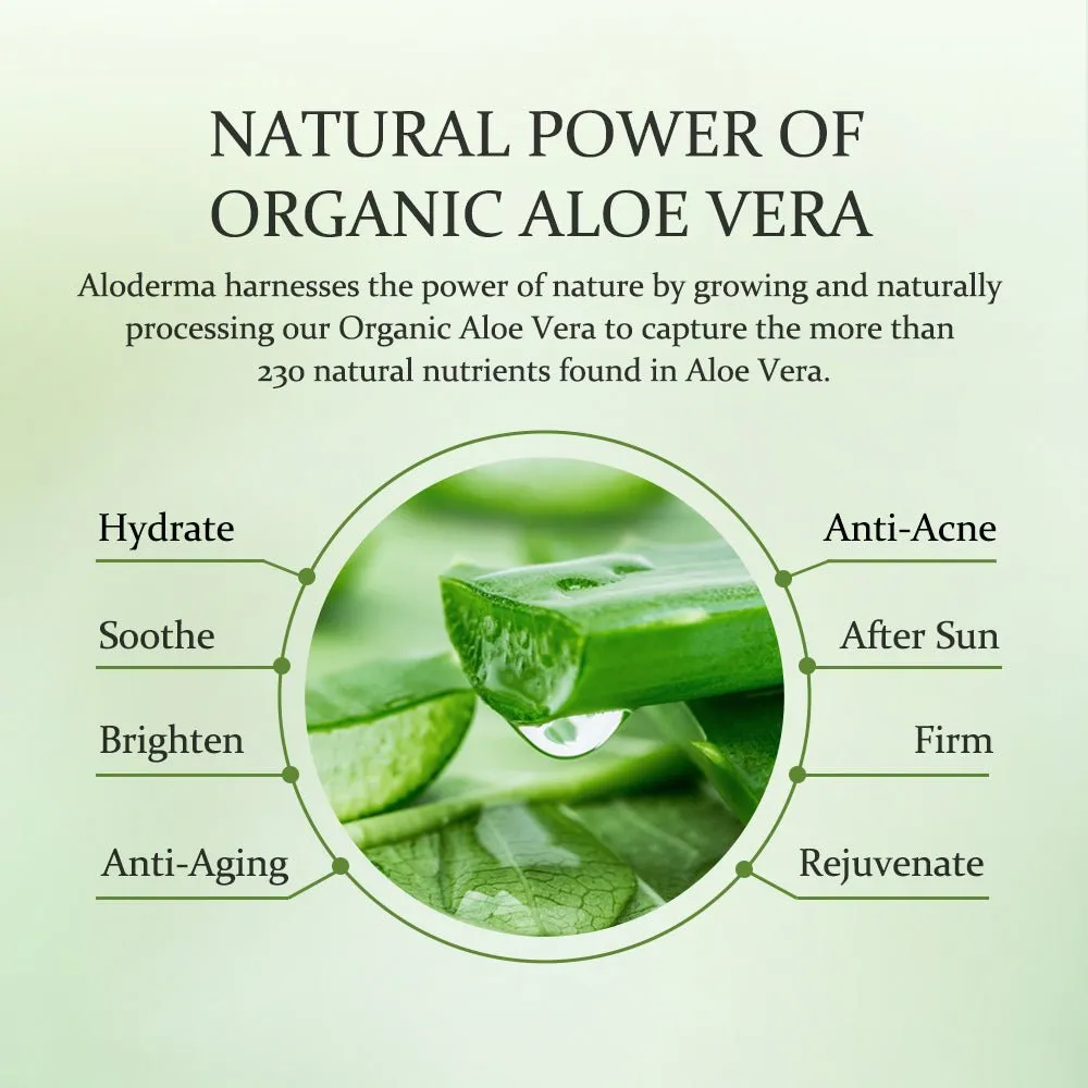 Signature Aloe Hydrating Set